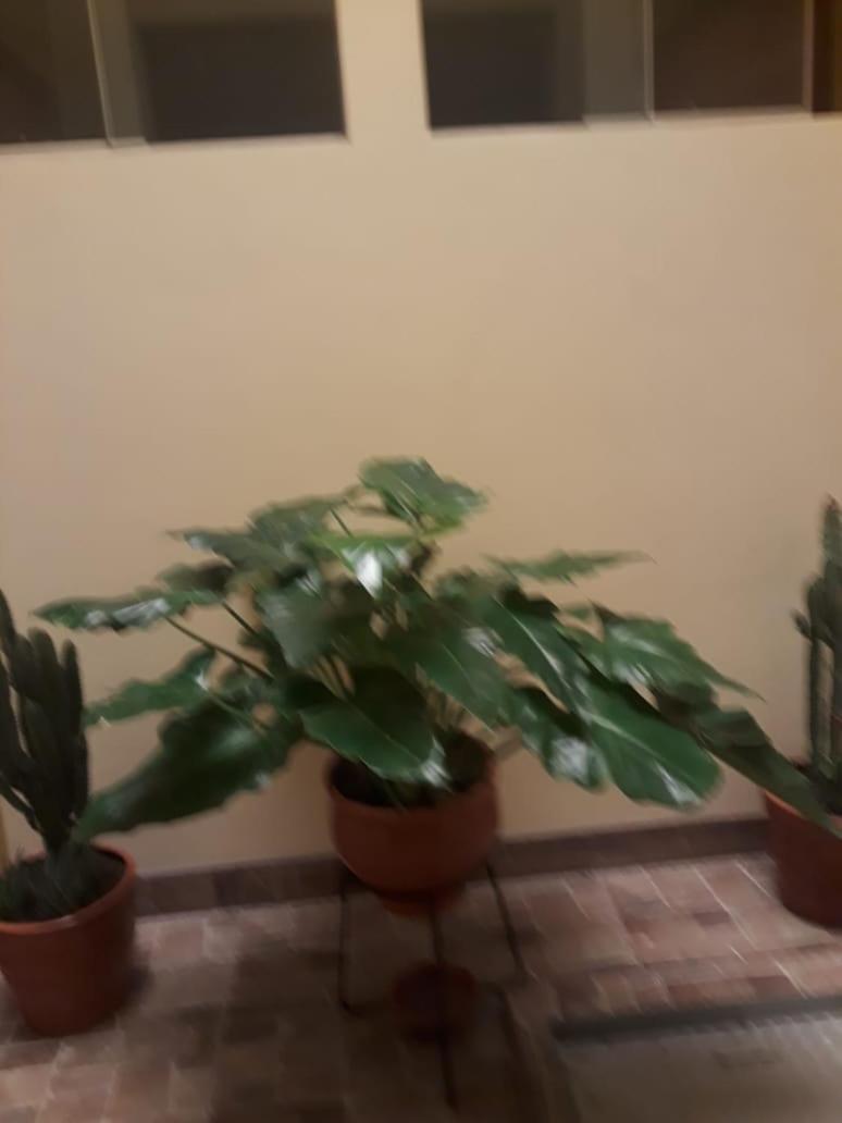 El Marquez Hotel Tacna Buitenkant foto